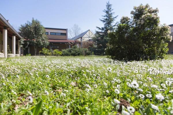 شْنيسيلّو بالسامو La Cordata Accommodation - Brodolini 24 المظهر الخارجي الصورة